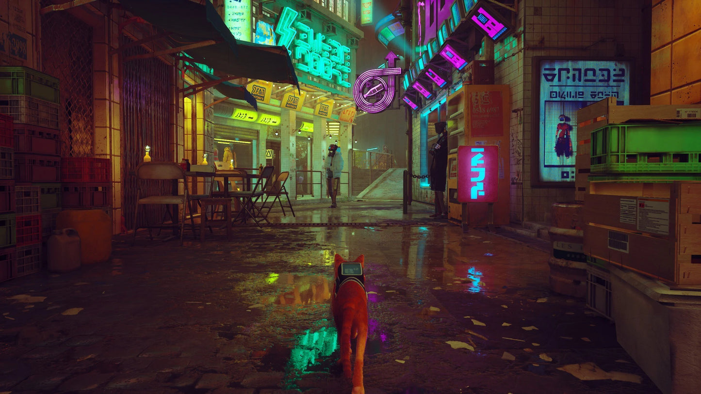 Stray – PS4 & PS5