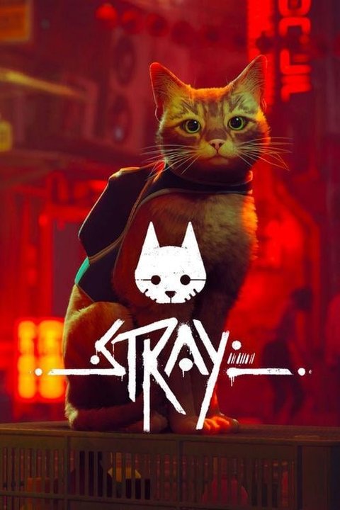 Stray – PS4 & PS5