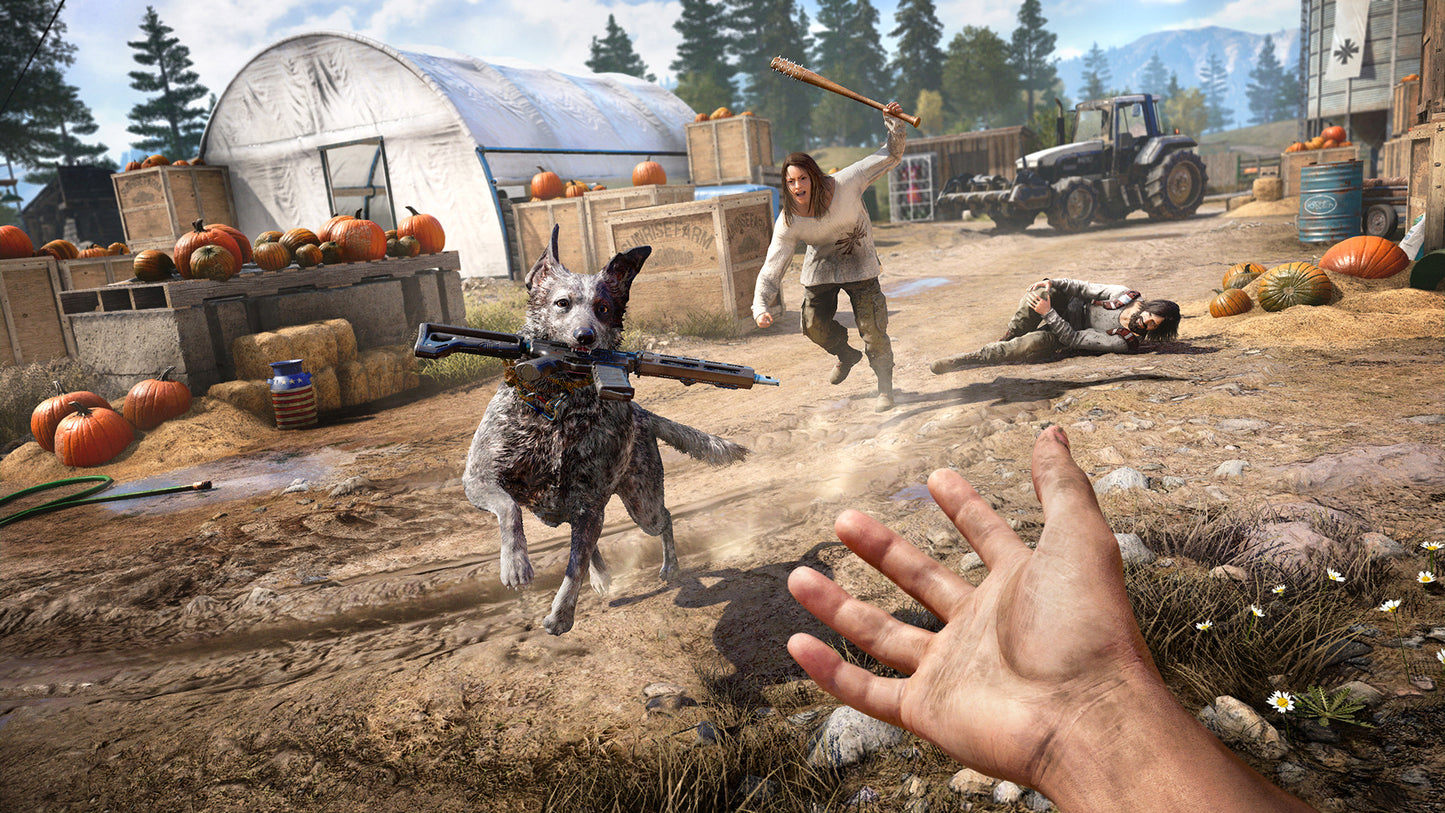 Far Cry 5 – PS4 & PS5