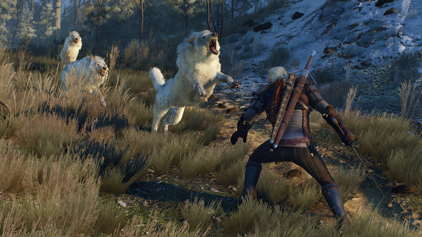 The Witcher 3: Wild Hunt – PS4 & PS5